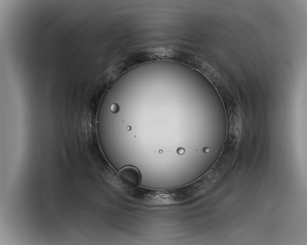 X0000116260518200912071025