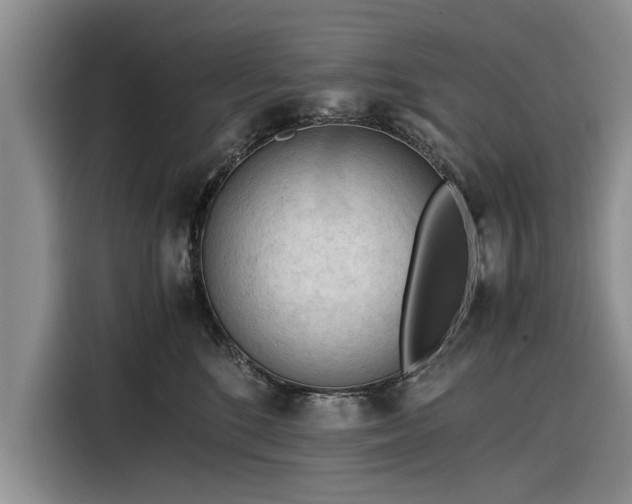 X0000116260520200912071025