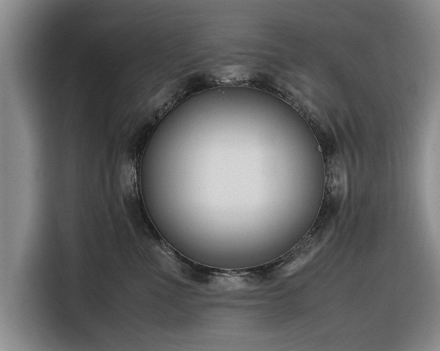 X0000116260523200912071025
