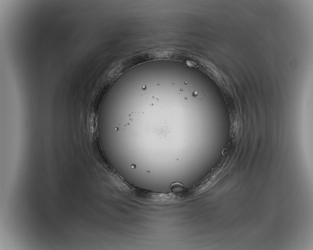 X0000116260525200912071025
