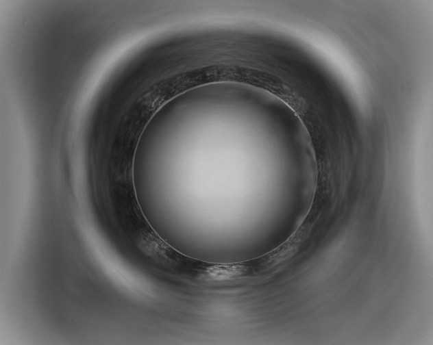 X0000116260526200912071025