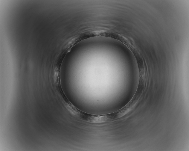 X0000116260527200912071025