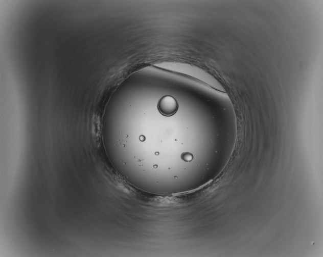 X0000116260528200912071025