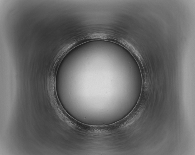 X0000116260529200912071024