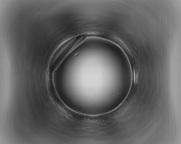 X0000116260531200912071024