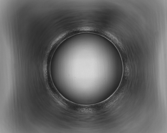 X0000116260535200912071024