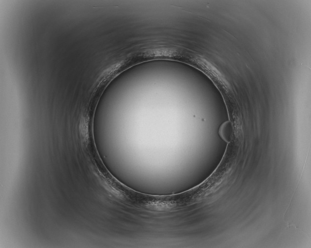 X0000116260537200912071024