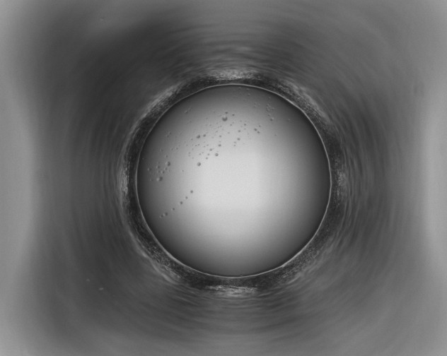 X0000116260539200912071024
