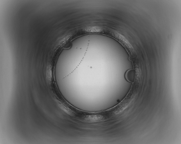 X0000116260541200912071024