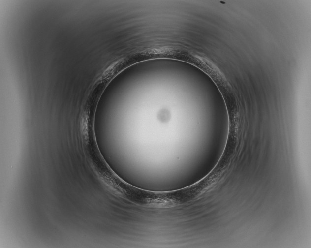 X0000116260542200912071024
