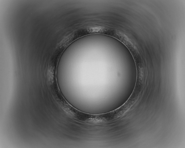 X0000116260545200912071024