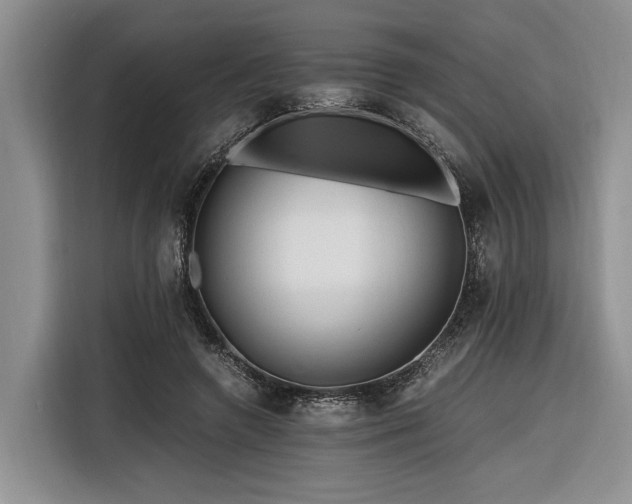 X0000116260546200912071024