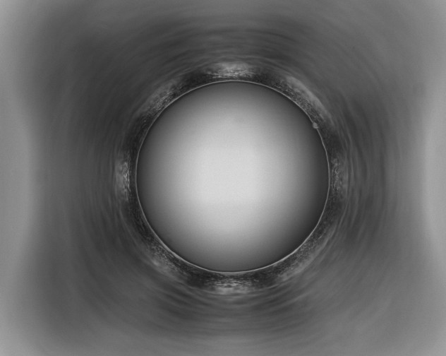 X0000116260549200912071024