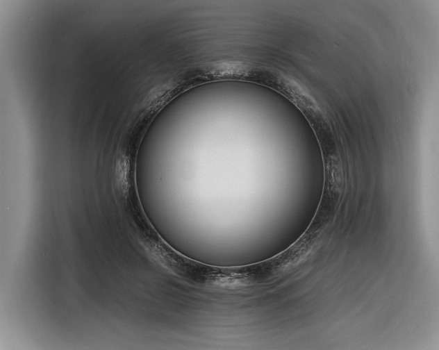 X0000116260550200912071024