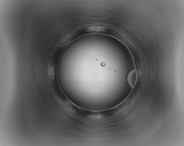X0000116260551200912071024