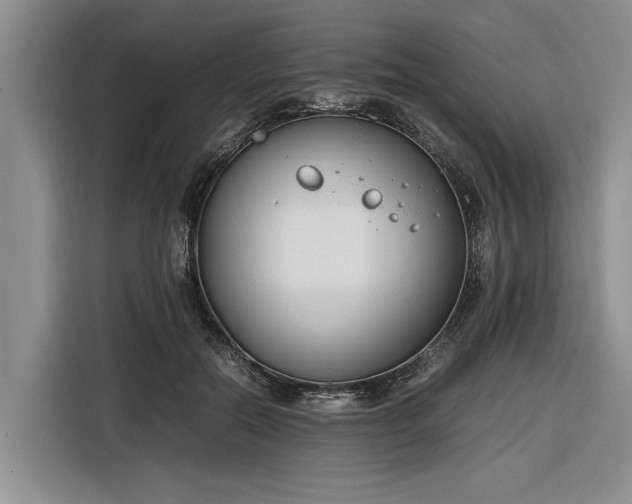 X0000116260554200912071024