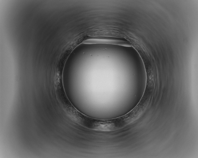 X0000116260555200912071024