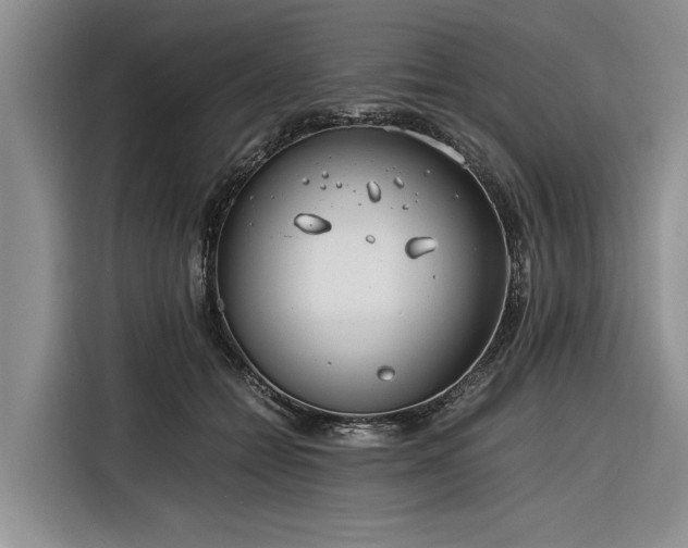X0000116260558200912071024