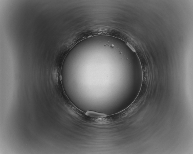 X0000116260562200912071024