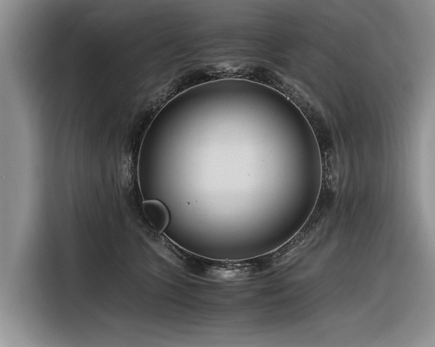 X0000116260563200912071024