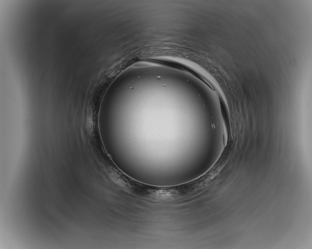 X0000116260566200912071024