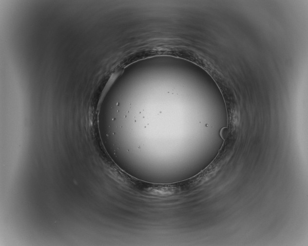 X0000116260567200912071024