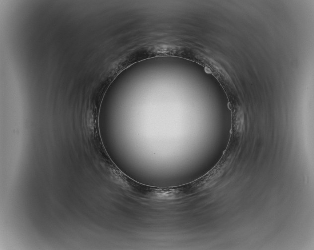X0000116260569200912071025