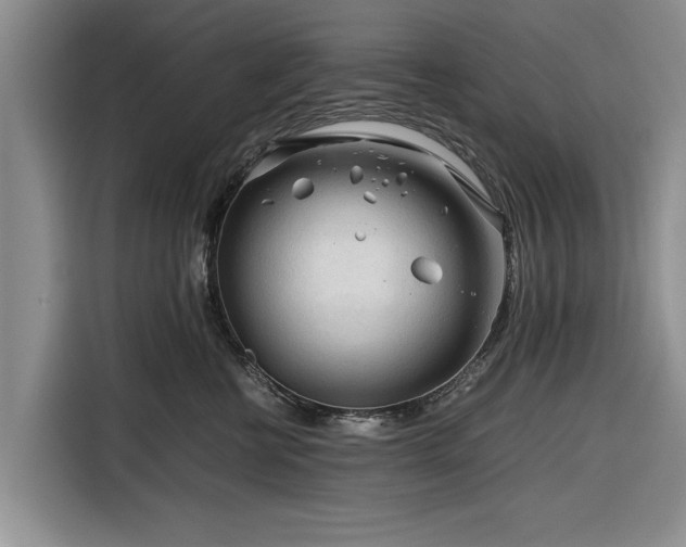 X0000116260570200912071025