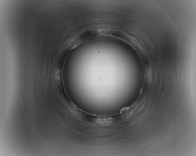 X0000116260571200912071025
