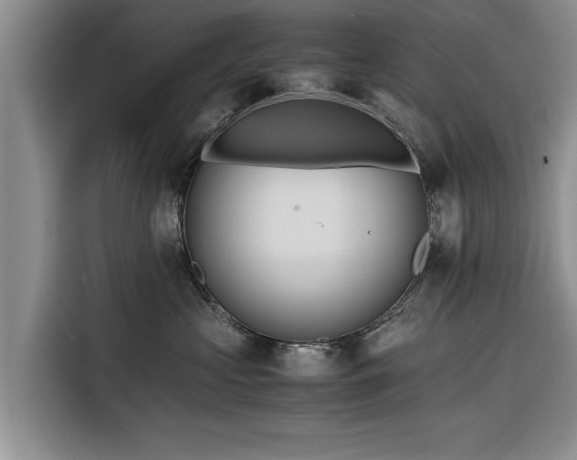 X0000116260573200912071025