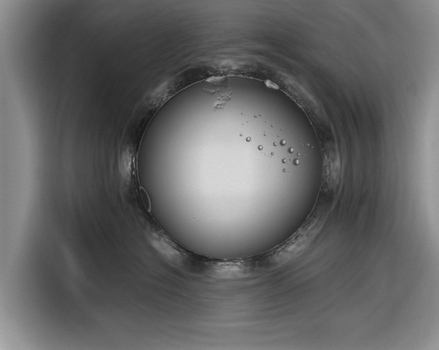 X0000116260574200912071025