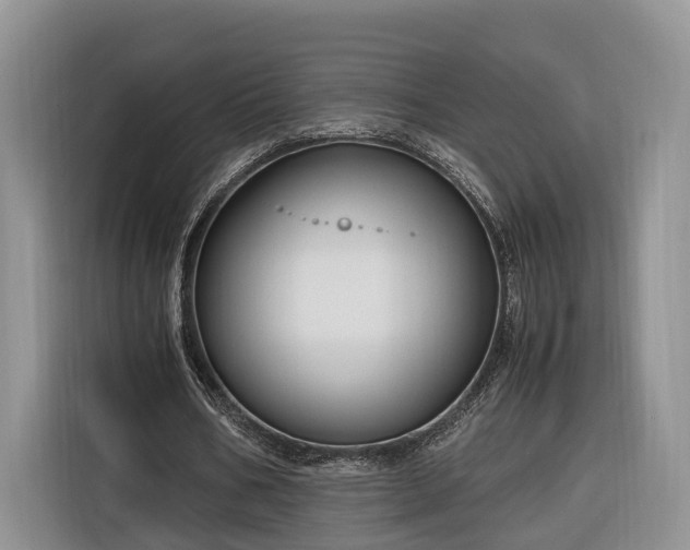 X0000116260578200912071024