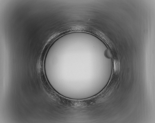 X0000116260579200912071024