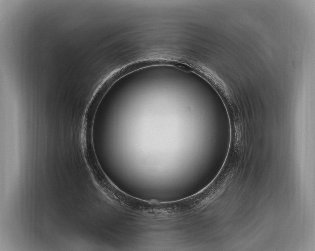 X0000116260580200912071024