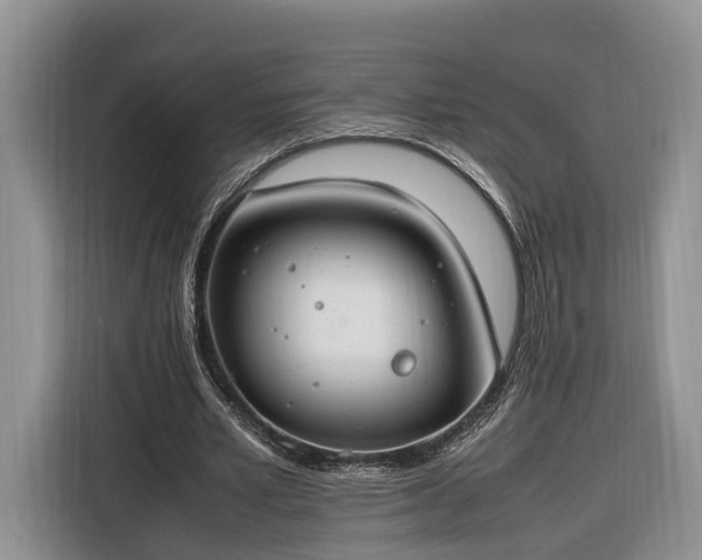 X0000116260581200912071024