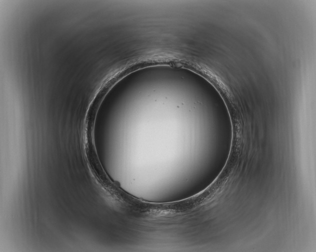X0000116260582200912071024