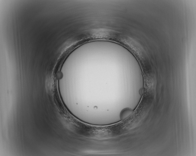 X0000116260583200912071024