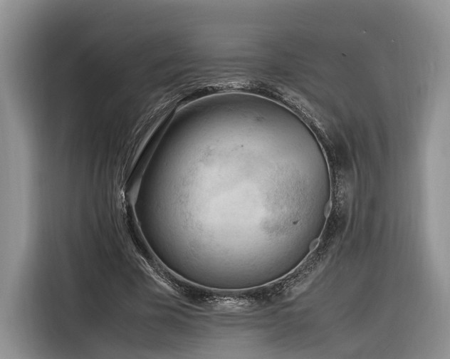 X0000116260585200912071024