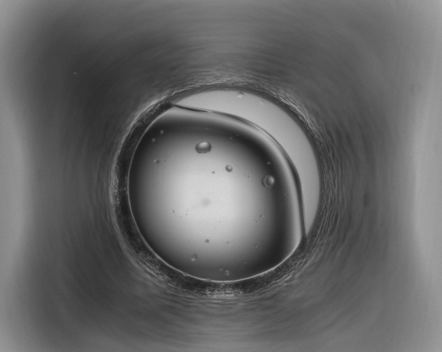 X0000116260587200912071024