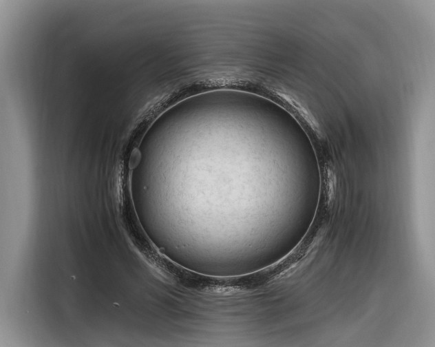 X0000116260590200912071024