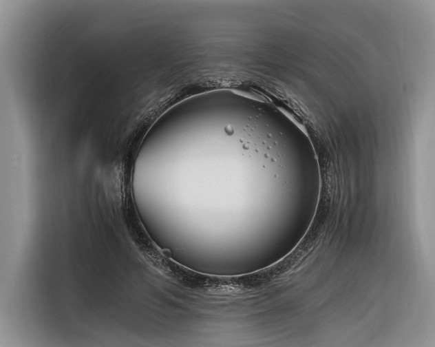 X0000116260594200912071024