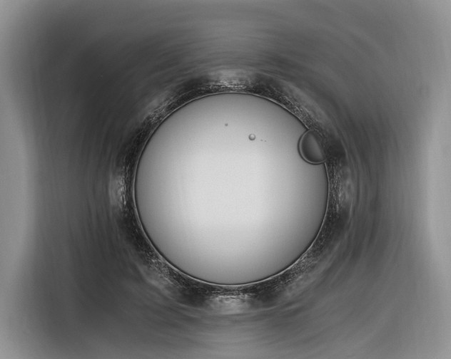 X0000116260595200912071024