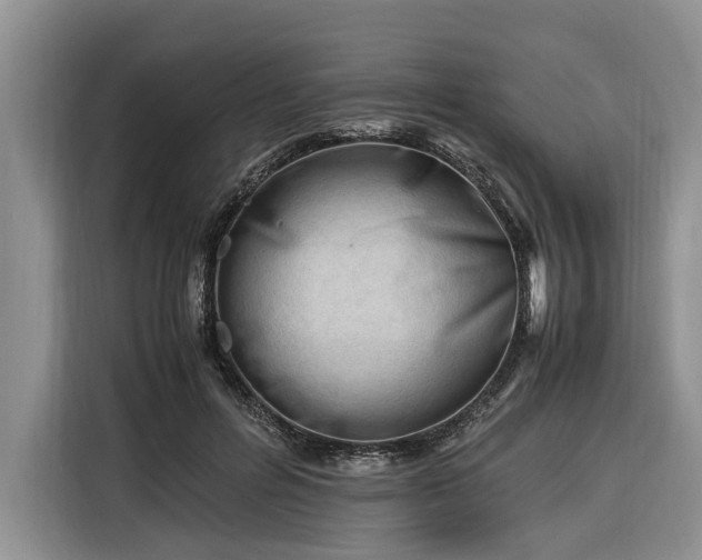X0000116260600200912071024