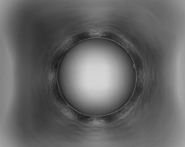X0000116260601200912071024