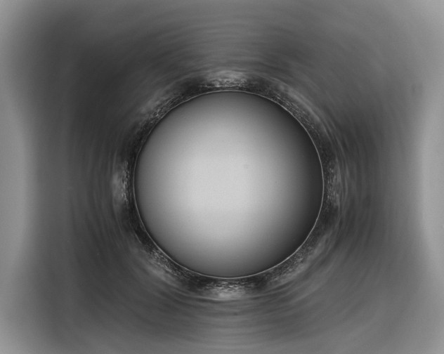 X0000116260604200912071024