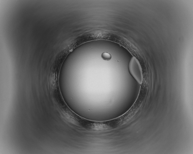 X0000116260605200912071024
