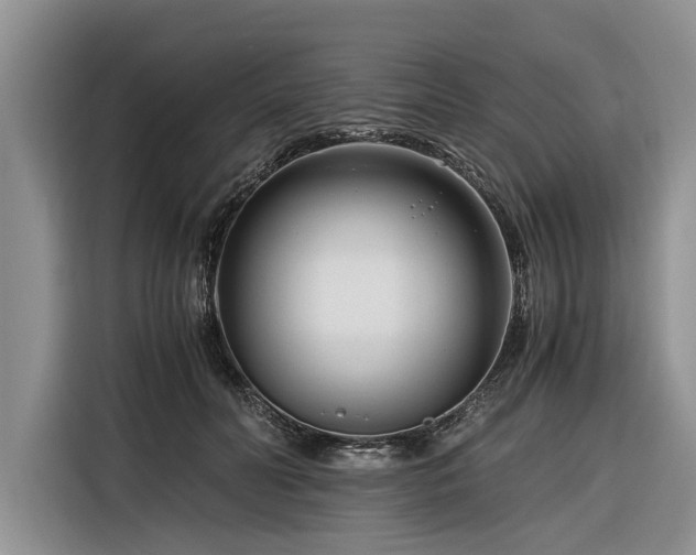 X0000116260606200912071024