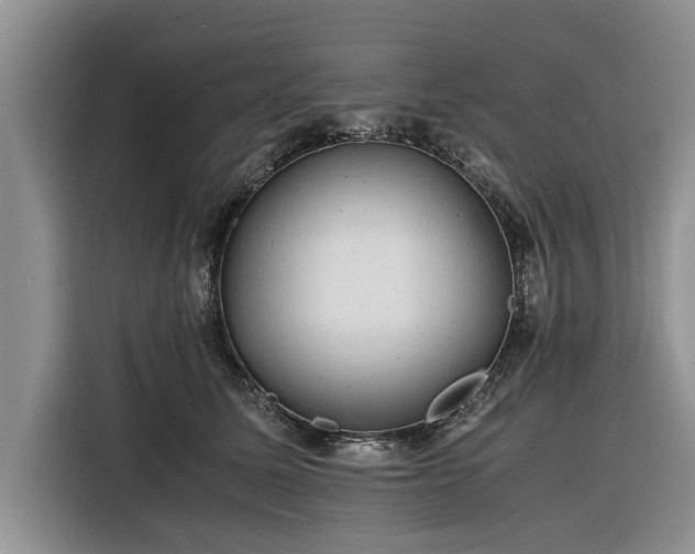X0000116260611200912071024