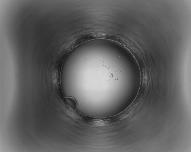 X0000116260616200912071023