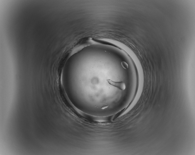 X0000116260617200912071023